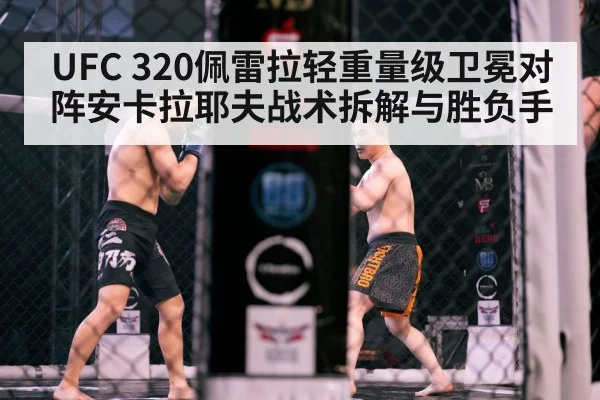 mma octagon fight